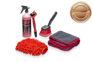 Bronze Cleaning Kit